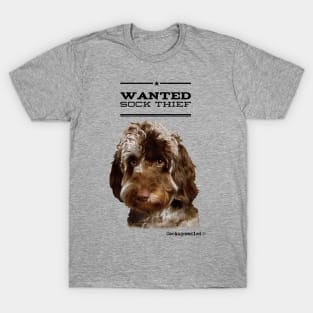 Cockapoo / Doodle Dog Sock Thief T-Shirt